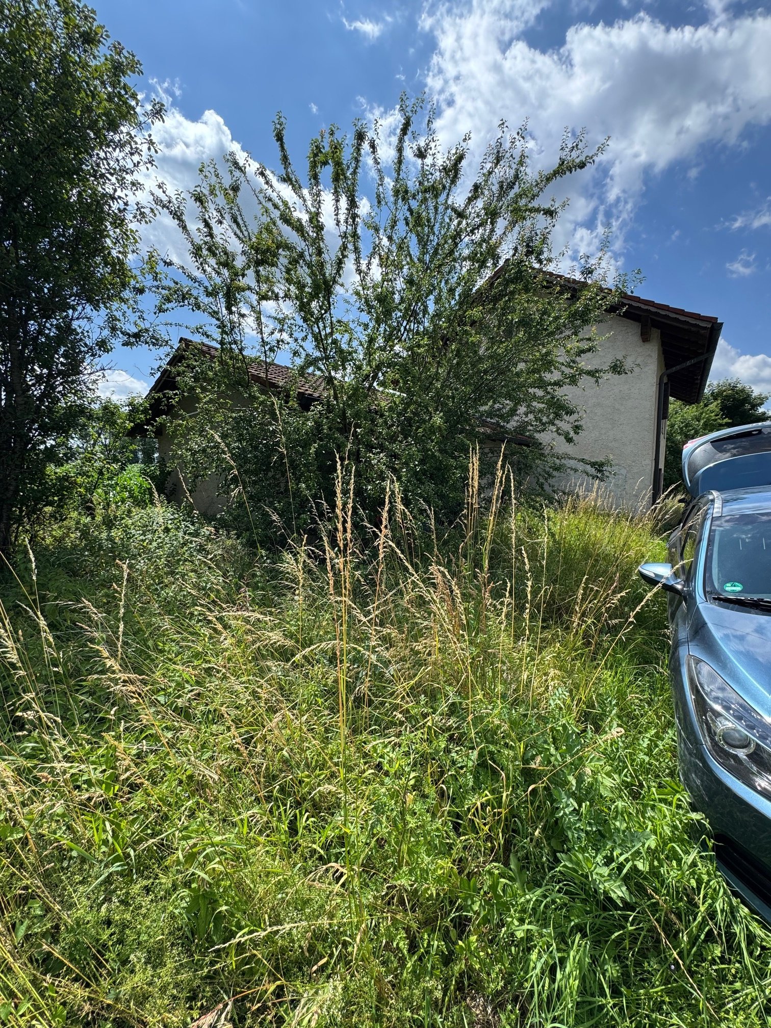 Rohbauhaus mit zusätzlichem Wiesengrundstück