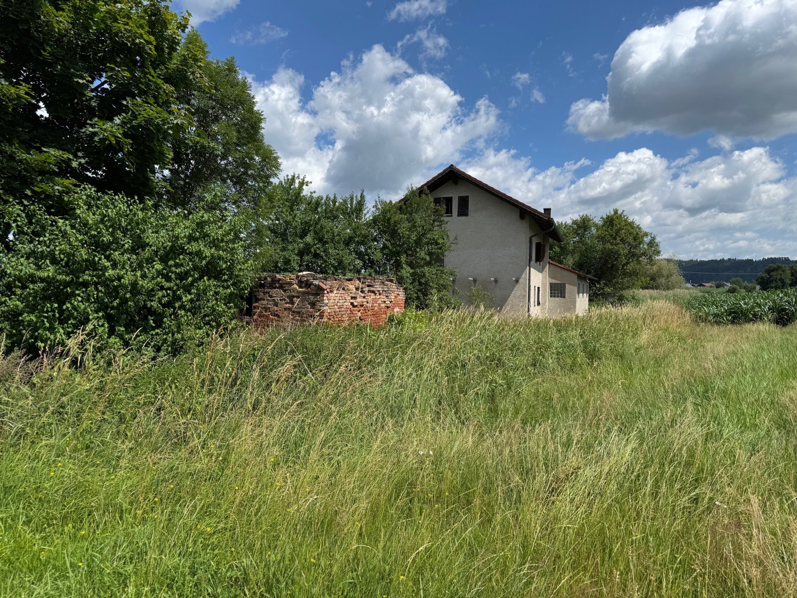 Rohbauhaus mit zusätzlichem Wiesengrundstück