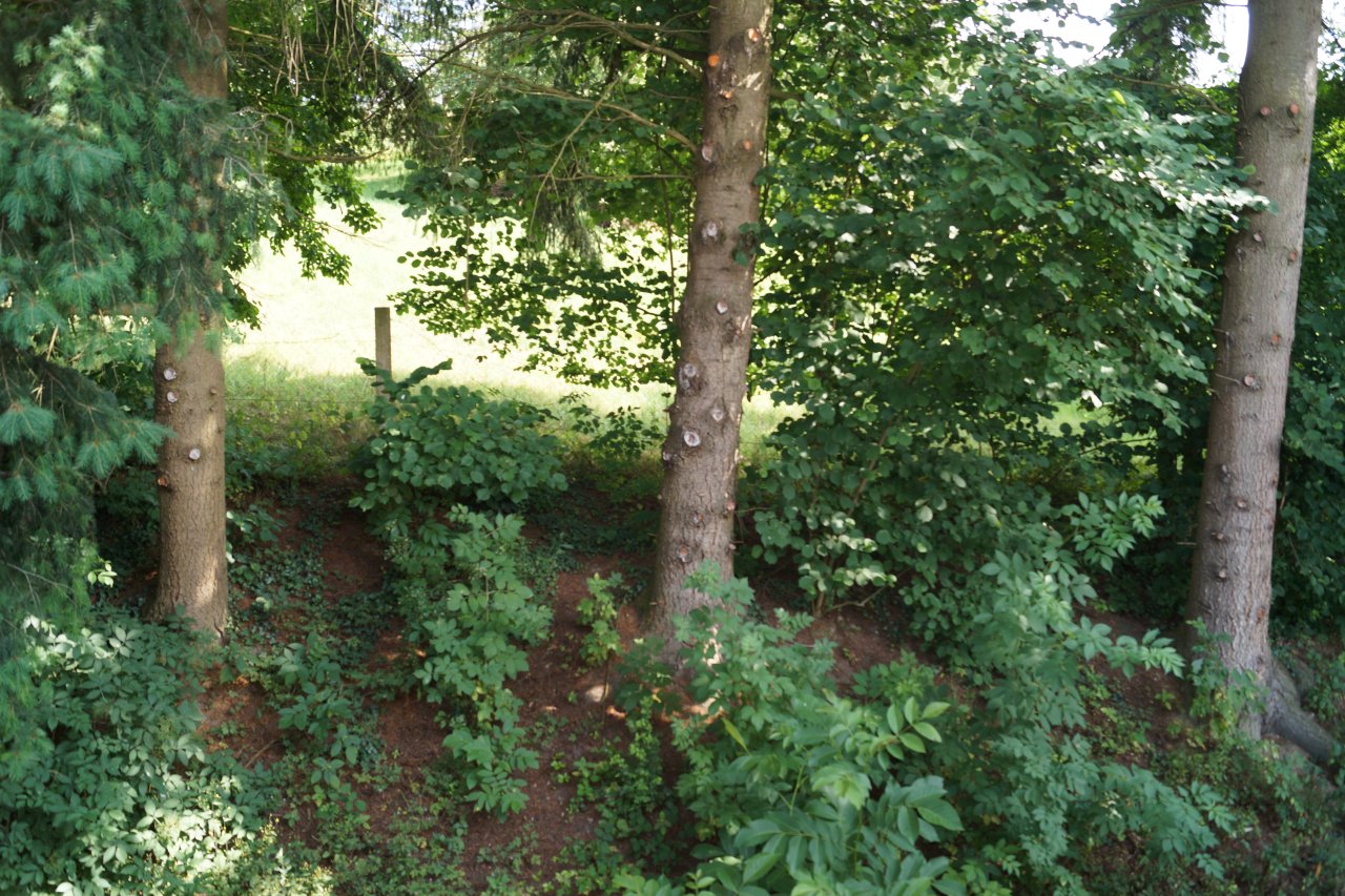 Luxus Panorama Wohnung mit Balkon / Zweitbezug