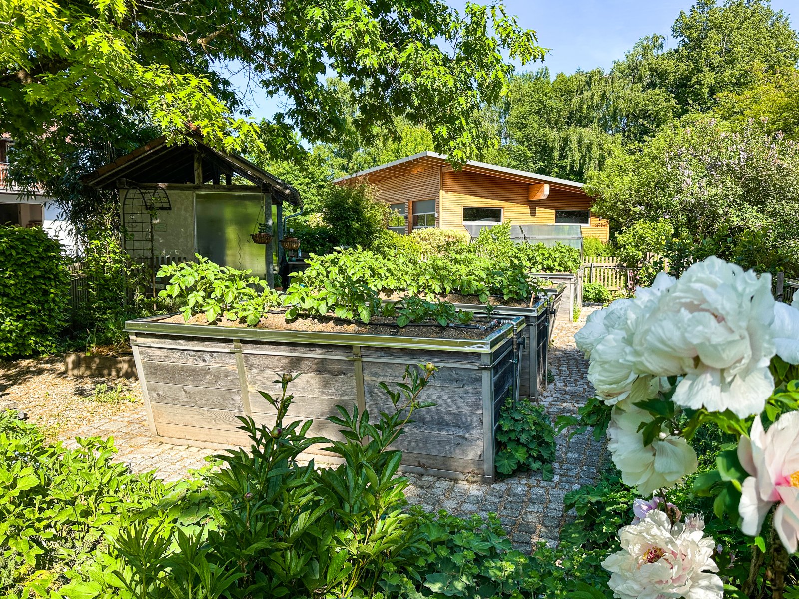 Gemüsegarten Gemüsegarten
