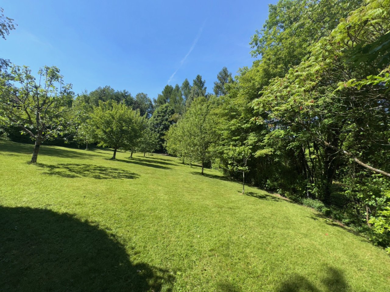 Obstgarten Obstgarten