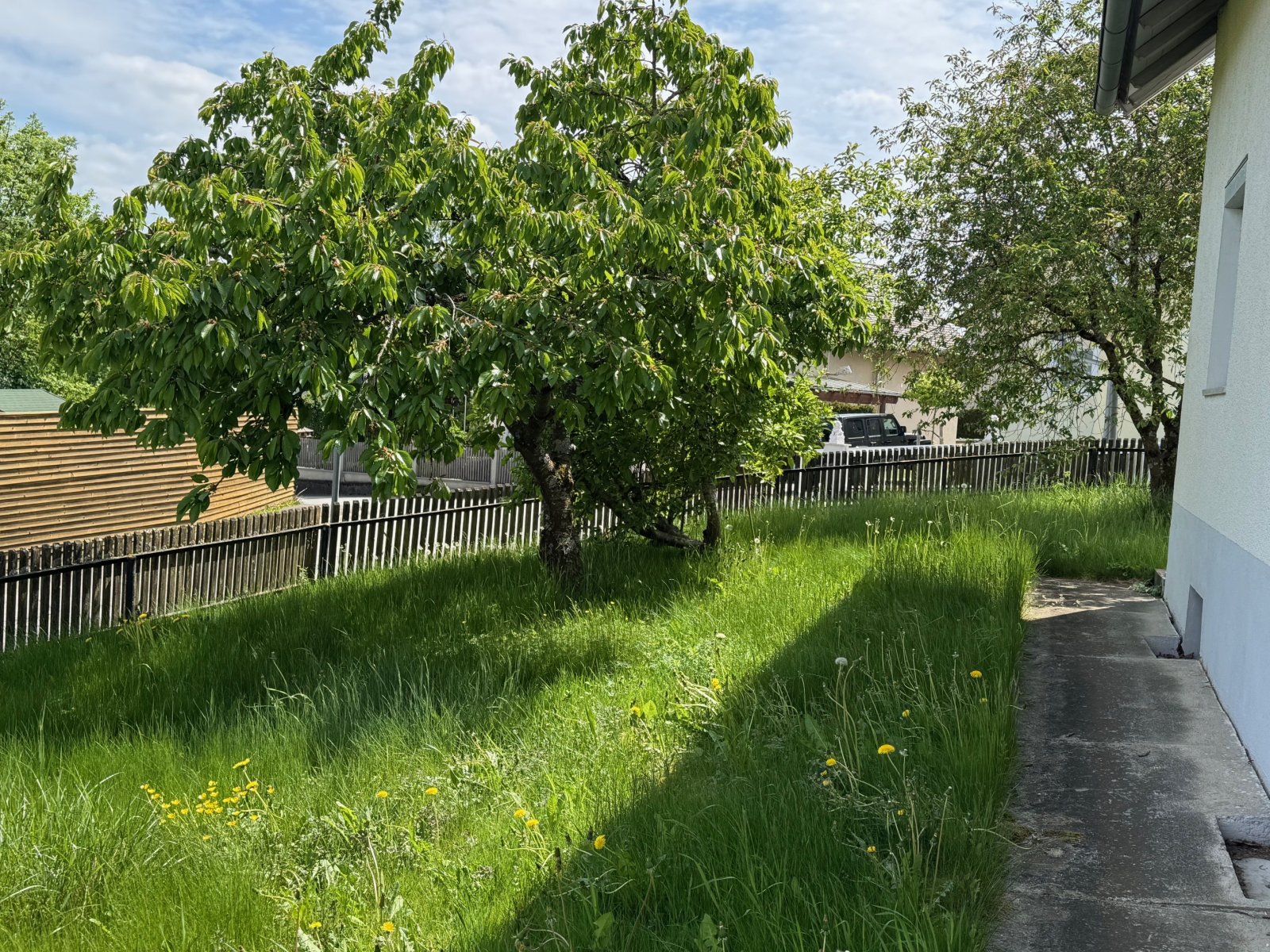Gartenansicht Gartenansicht