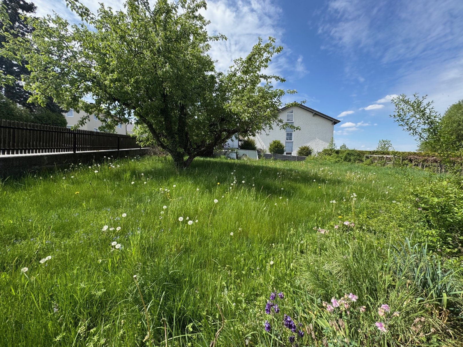 Gartenansicht Gartenansicht