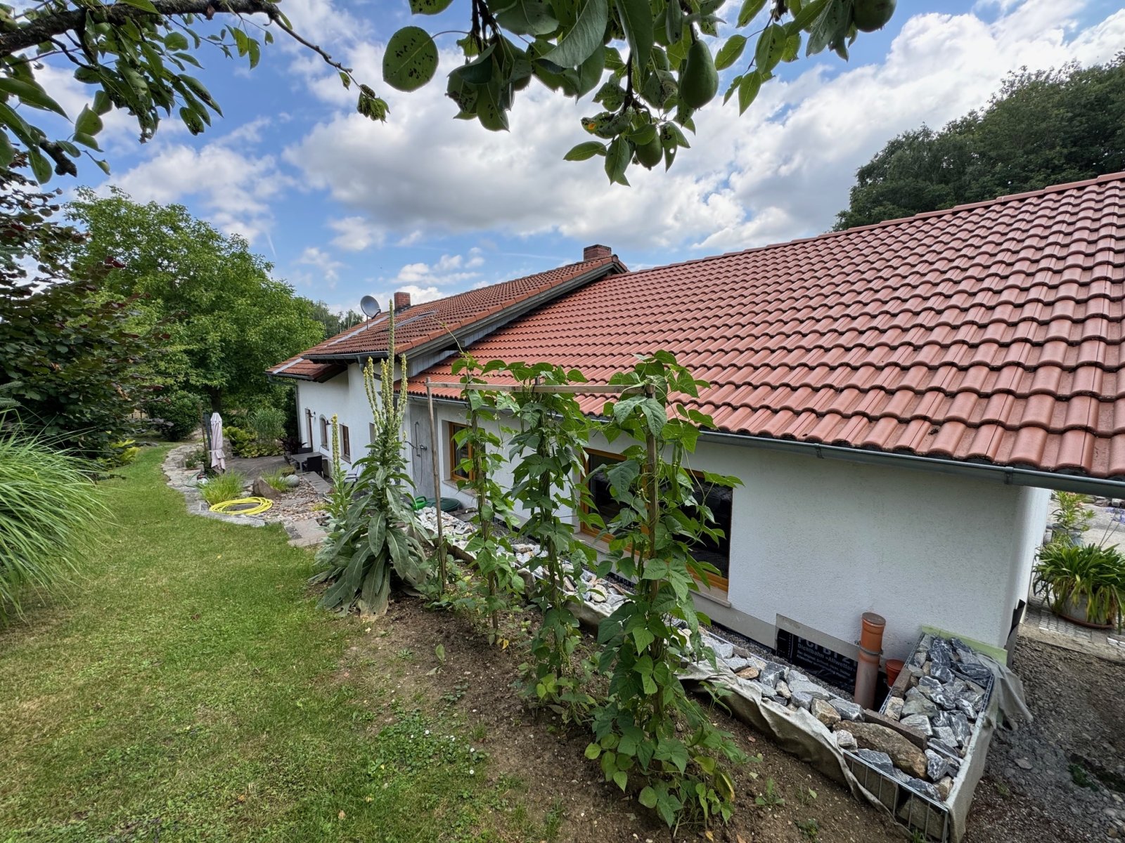 Außenansicht Außenansicht