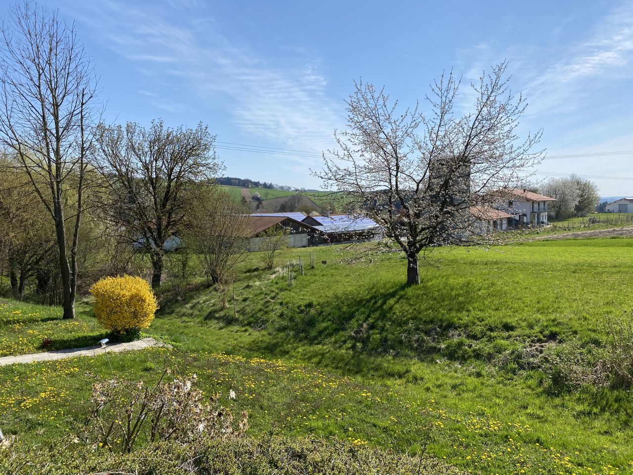 Freisicht vom Balkon - Blickrichtung Süden