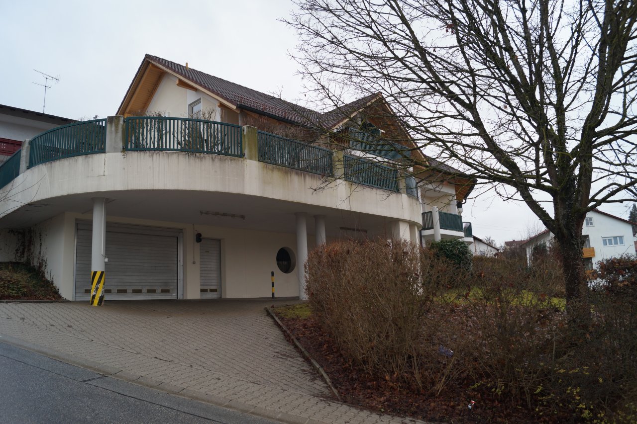 Haussüdseite mit TG.-Zufahrt