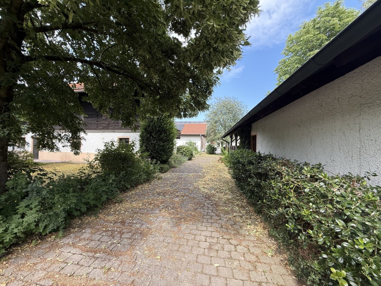 Zuweg zum Haus