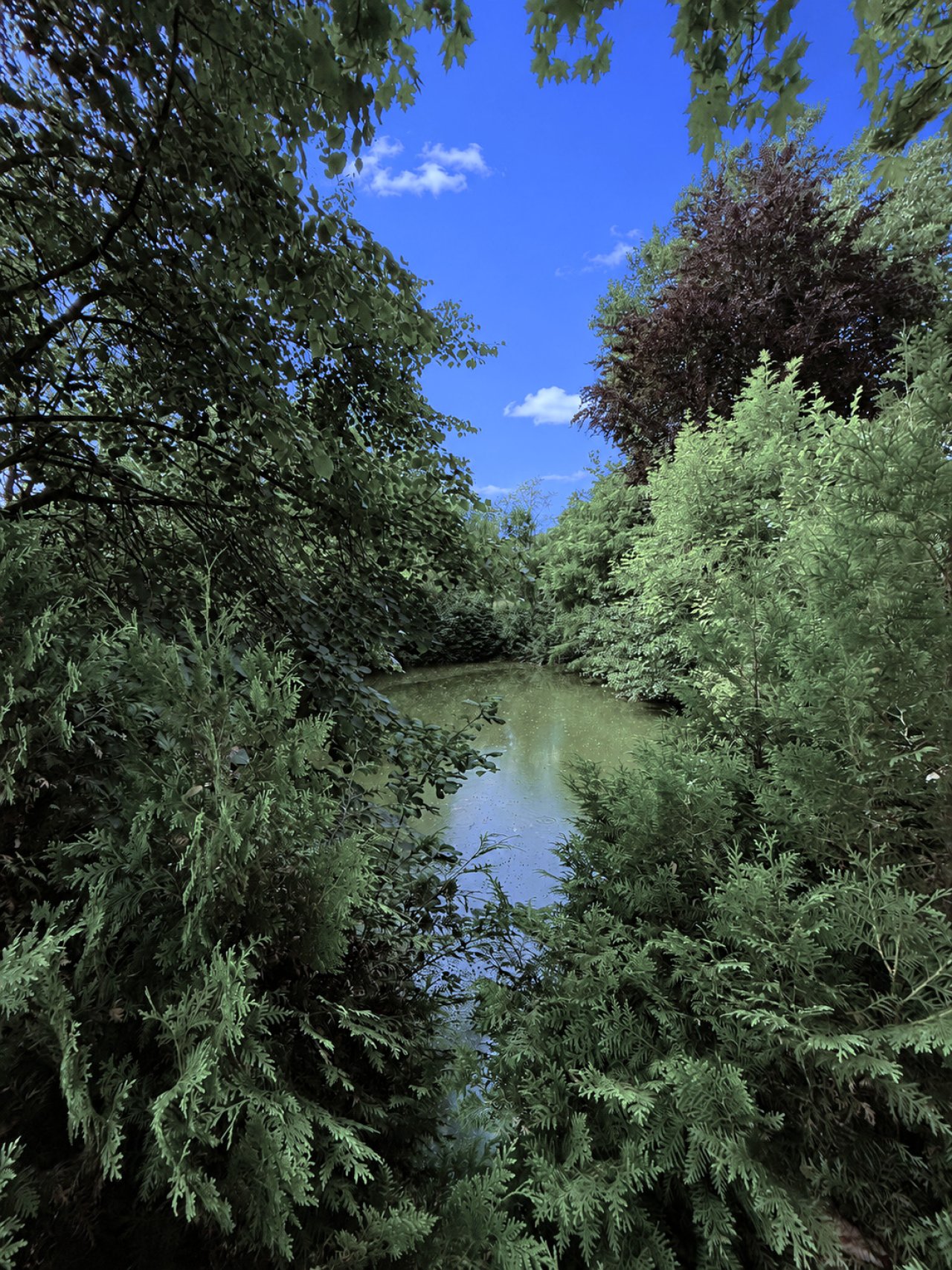 Löschweiher